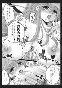 (COMIC1☆5) [Usubeniya (Usubeni Sakurako)] Shinkou no Tamamono (Touhou Project)