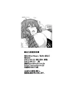 (Reitaisai 9) [BlueMage (Aoi Manabu)] Touhou Newly-Weds' First Night (Touhou Project) [English] {pesu}