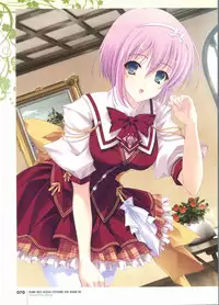 Kimi wo Aogi Otome wa Hime ni Visual Fan Book