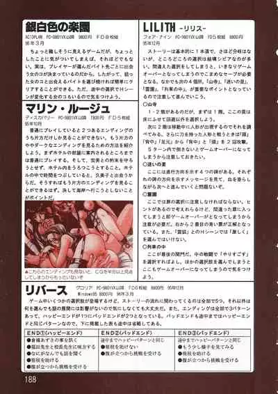 PC Bishoujo Software Strategy Book: Strategy King 2