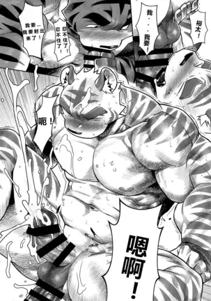 【Mitsuru Building（wasp）】【违禁品】Things They Cannot Bring On Board 【chinese】【Digtal】