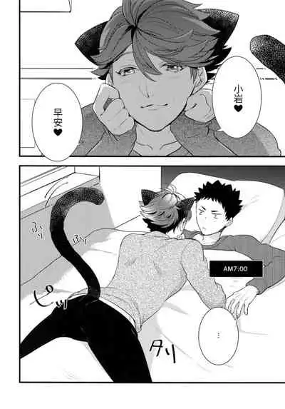 我想成为小岩的猫2 I want to become Iwa-chan's Cat! 2