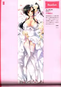 Dakimakura Cover Gashuu Bishoujo Game Hen
