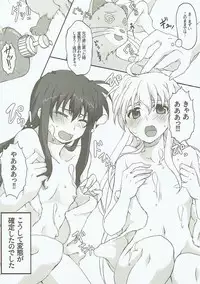 (C93) [STROLL IN THE WOODS !! (ELF)] Honpen no Sukima no Ohanashi o Kangaete Mita. (Mahou Shoujo Lyrical Nanoha)