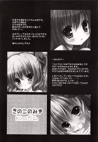 (COMIC1☆4) [KINOKONOMI (Kino)] Imouto Itazura Flan-chan (Touhou Project)