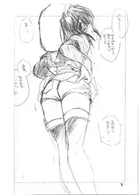 (C65) [Cafeteria Watermelon (Kosuge Yuutarou)] Moon Lighter (Elemental Gelade)