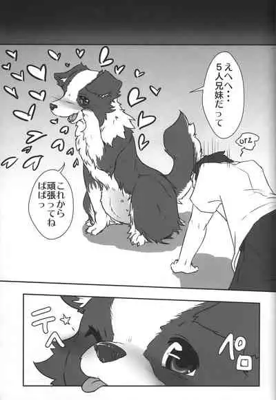 (Kansai! Kemoket 3) [PPOINO! (Various)] Boda kon