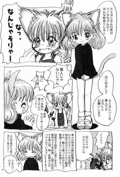 (C58) [Nihon Waru Waru Doumei (Various)] Mon Petit (Various)