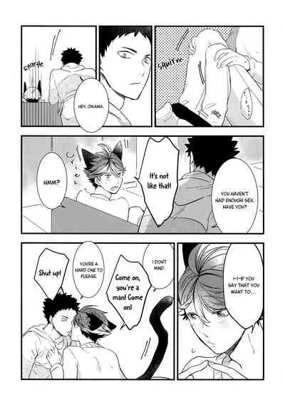 (C93) [Rototika (Kamishi Yue)] Iwa-chan no Neko ni Naritai 2 (Haikyuu!!) [English]