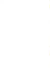 [Dark Water (Mikuni Saho, Tatsuse Yumino)] Seisen no keifu EX (Fire Emblem: Seisen no Keifu)