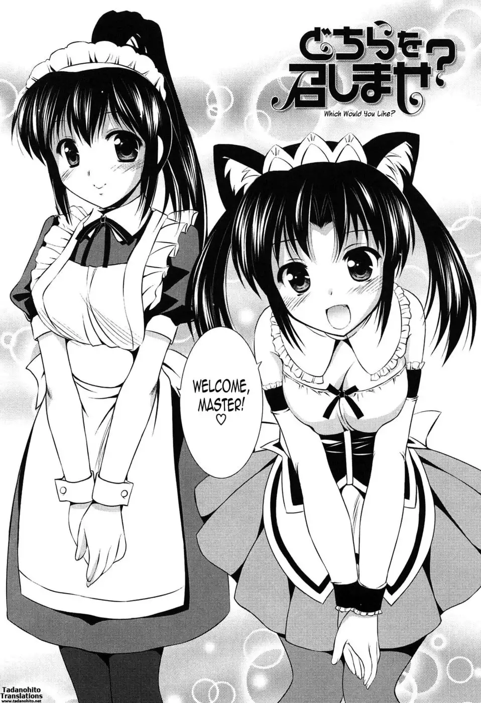 Which Would You Like?