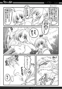 (C62) [BAHA-CHOP (Bahamucho)] You're Everything Ver.β (Utawarerumono)