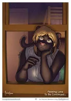 Passing Love 2- Meesh