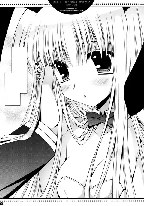 Anou...Korede Iidesuka? Goshujinsama