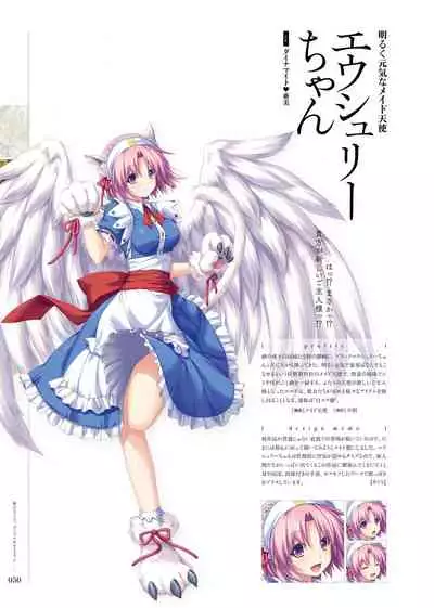 Kami No Rhapsody Perfect Guidebook