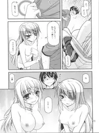 (COMIC1☆5) [CRIMSON GROUND (Miyashiro Sousuke)] Schwarzer Rafale (Infinite Stratos)