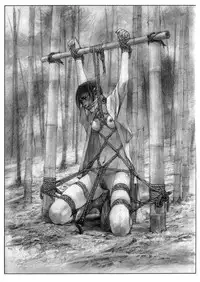 (C53) [Pornostar (Samura Hiroaki)] Succubus no Yoru | Night of the Succubus (Nureta Osanazuma) (Darkstalkers) [English] [Zzled]