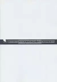 (C67) [Youkai Tamanokoshi (CHIRO)] Jessica Side (Dragon Quest VIII)