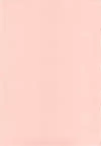 (COMIC1☆4) [Kamogawaya (Kamogawa Tanuki)] Nines SIDE-N (Mahou Shoujo Lyrical Nanoha)