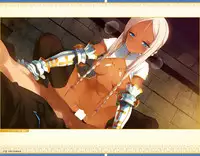 Eiyuu*Senki GOLD Visual Fanbook