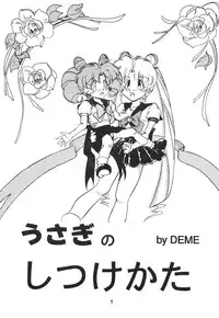 Tenka Muteki No Sailor Moon R (Sailor Moon)