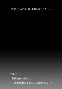 [Miracle Ponchi Matsuri (Basara)] DRAGON ROAD 3 10th anniversary (Dragon Ball Z)