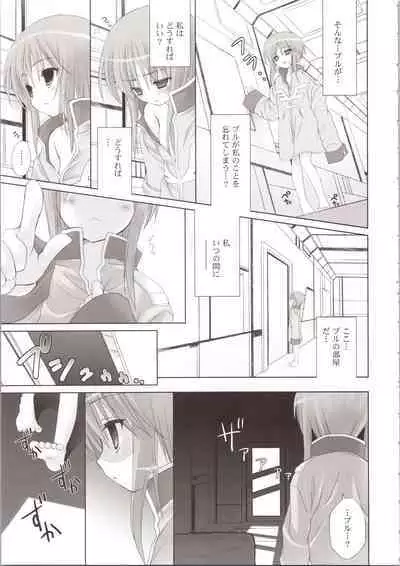 ELPEO-PLE GENERATION EVENT LIMITED EDITION