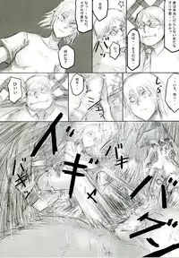 (C70) [Da Hootch (ShindoL)] Playmate of The Apes