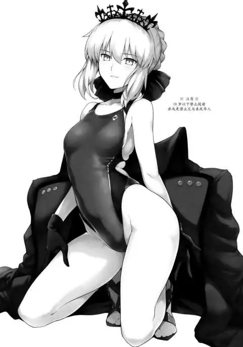 Chaldea Shiko Shiko Material Vol. 2