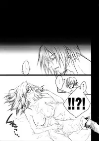 (C72) [Akai Tsubasa (Tachibana Chata)] LOVE FOOL.05 (Fantasy Earth ZERO)