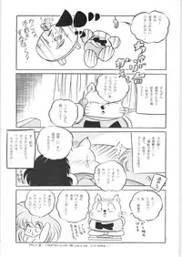 C-COMPANY SPECIAL STAGE 16