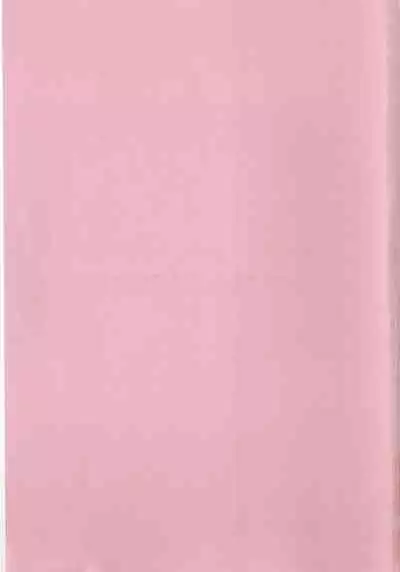 Hide-san no Yakata R