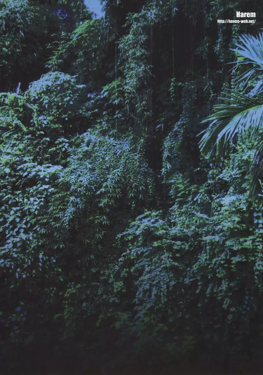 Hunter-chan dai Pinchi