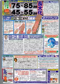 Monthly Vitaman 2009-12