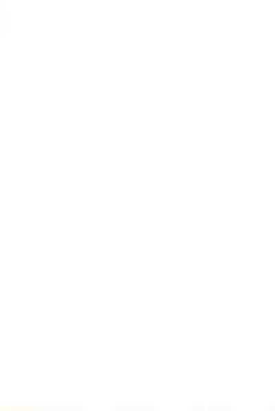 (C52) [Sanketsushuu (Sanzui)] Degarashi Azuki-chan (Azuki-chan)