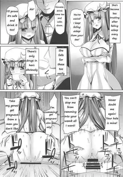 Neteiru Patchouli ni wa Nani o Shite mo Yoi | You can do anything to sleeping Patchouli