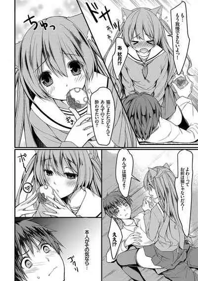 Nekomimi Musume wa Hatsujouki