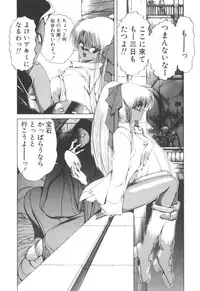 [Makoto Fujisaki] Dark Wirbel Vol 2