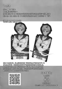 (C86) [Nagaredamaya (BANG-YOU)] Haru Sanpo (Sailor Moon)