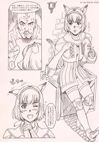 (SC19) [Circle ENERGY (Imaki Hitotose)] Mithra no Eropon (Final Fantasy XI)