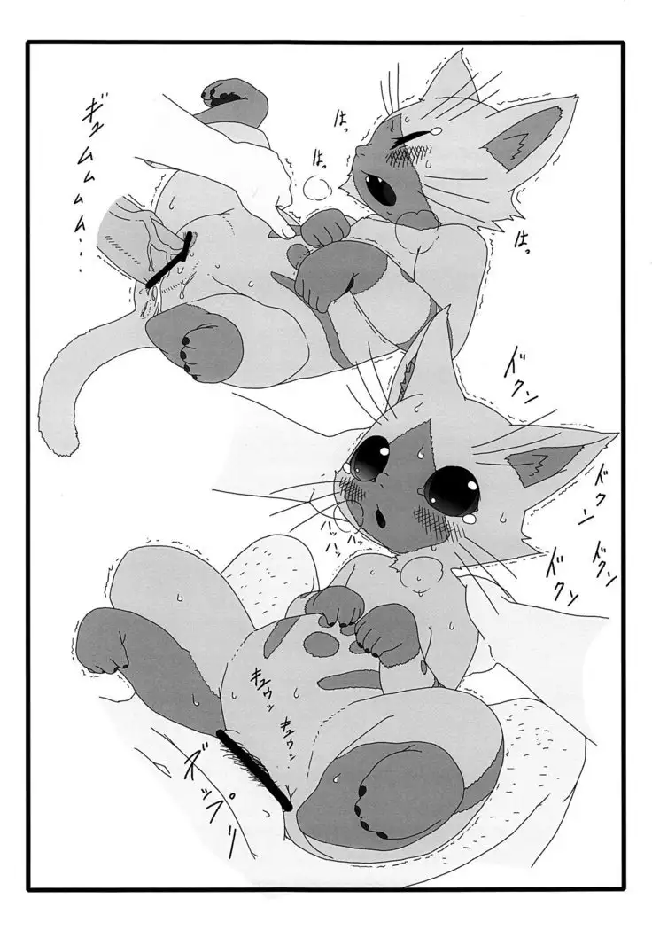 Yoru no Otomo ni Airou wo.