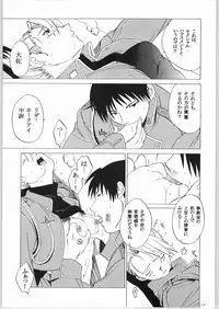 (C65) [Toko-ya (HEIZO, Kitoen)] Taisatyui (Fullmetal Alchemist)