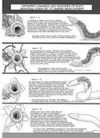 [Kasetsu Shirokuma (Yoi)] P045-02 Vanis Report [English] [CrayZayJay]