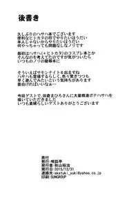 (C89) [Narukotei (Akiyama Yuuzi)] Hitokata no Akuyou Houhou (Summon Night 2)