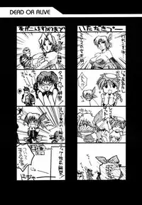 [U-A Daisakusen / Lapislazuli=corporation] Ruridou Gahou X (vol.10) (Dead or Alive)