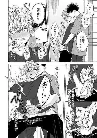 Kirai na Yatsu to Kuttsuku Mahou ni Kakaru Hanashi