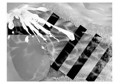 [Tsuchikuda Material] -Asakura Touru- Migawari Kyousei Mesu Kobi (THE iDOLM@STER: Shiny Colors)