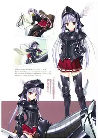 Walkure Romanze More & More Visual Fan Book