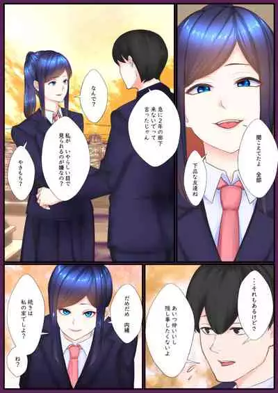 Seitokaichou Sei no Taishou