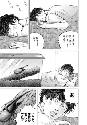 Olympia Kyklos Vol. 01-04